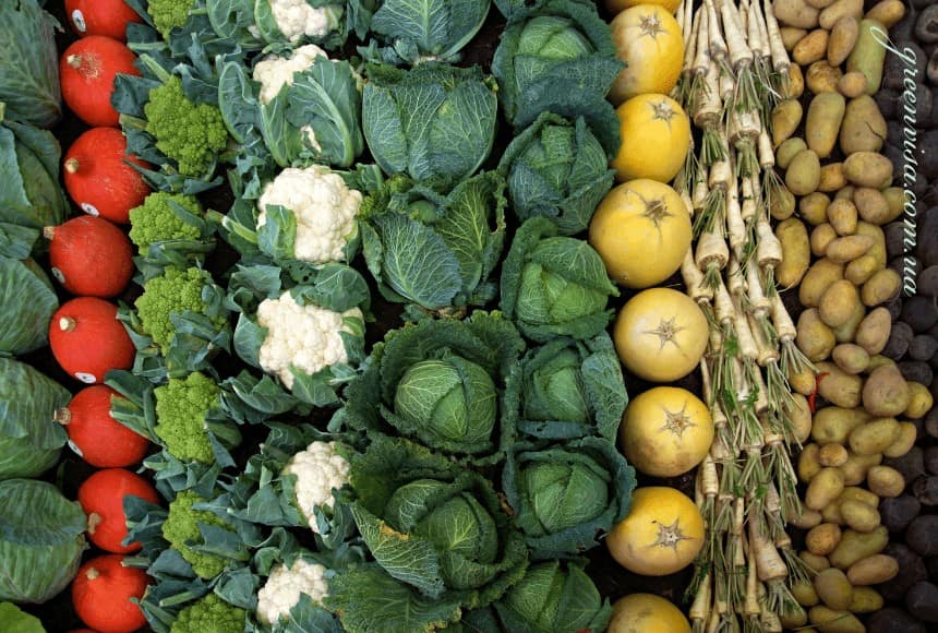 Memahami Perbedaan Serat Larut dan Tidak Larut untuk Pencernaan Sehat